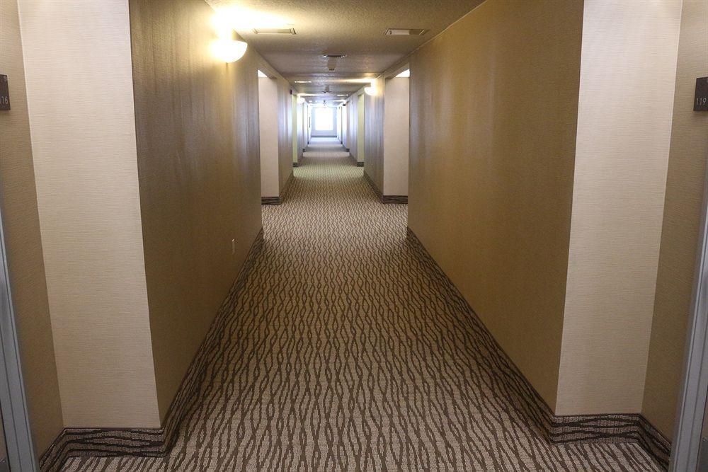 คอมฟอร์ต สวีท นิว บราวน์เฟล Hotel นิวบราวน์เฟลส์ ภายนอก รูปภาพ