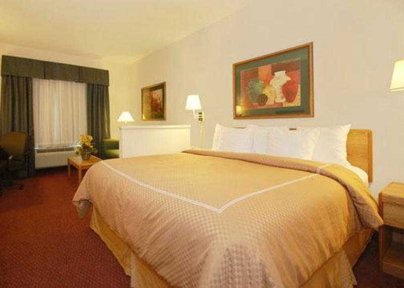 คอมฟอร์ต สวีท นิว บราวน์เฟล Hotel นิวบราวน์เฟลส์ ห้อง รูปภาพ