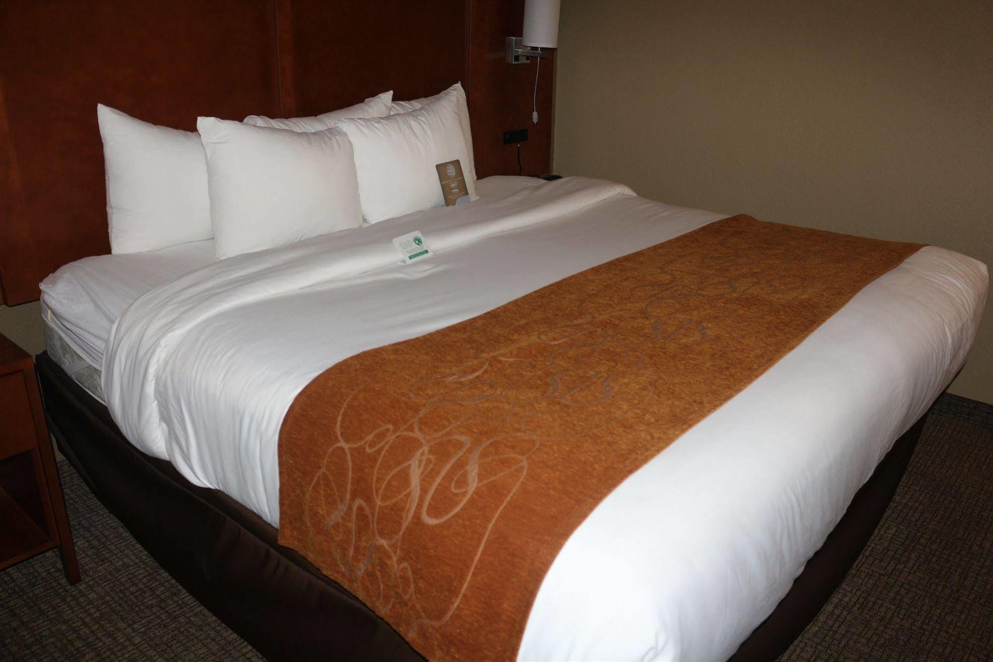 คอมฟอร์ต สวีท นิว บราวน์เฟล Hotel นิวบราวน์เฟลส์ ภายนอก รูปภาพ